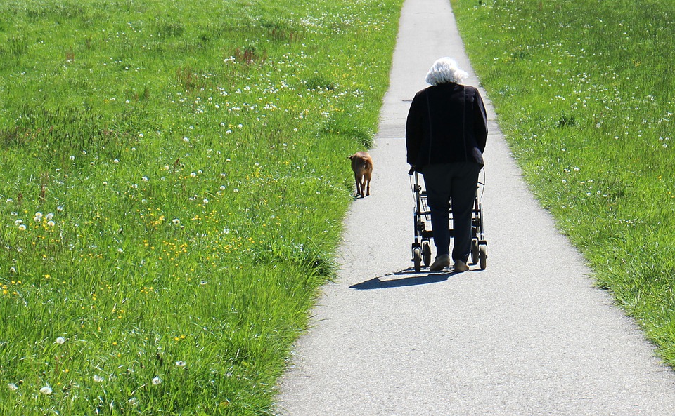 Femme âgée qui promène son chien en se déplaçant avec un déambulateur