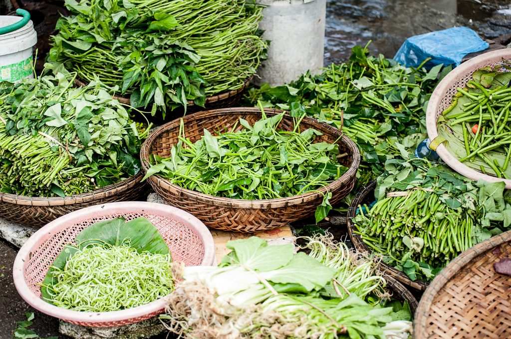 Des plantes comestibles en train de sécher